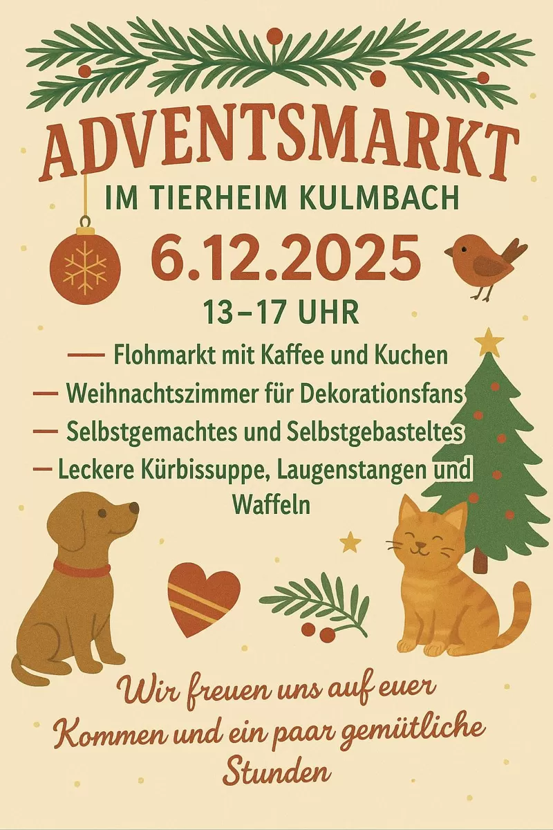 Flohmarkt-Artikel in Regalen im Tierheim Kulmbach