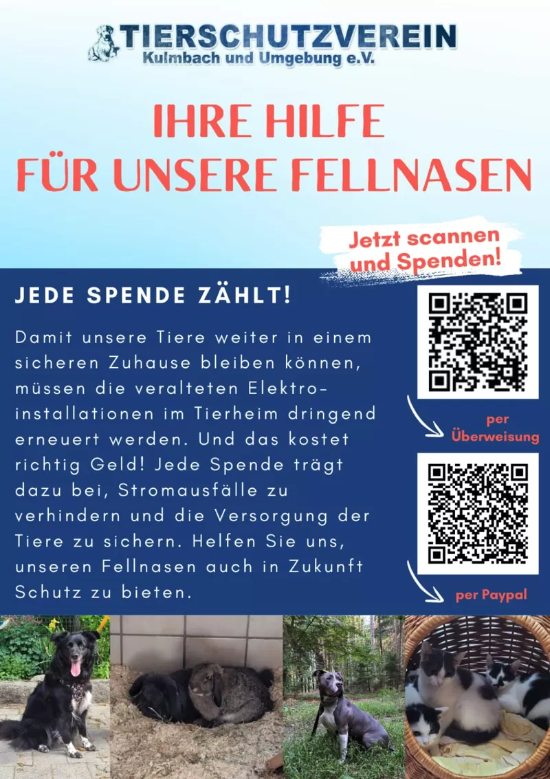 Spendenaufruf für dringend notwendige Elektroarbeiten am Tierheim