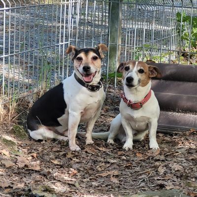 VERMITTLUNGSHILFE- LINUS UND LEO VERMITTLUNGSHILFE- LINUS UND LEO