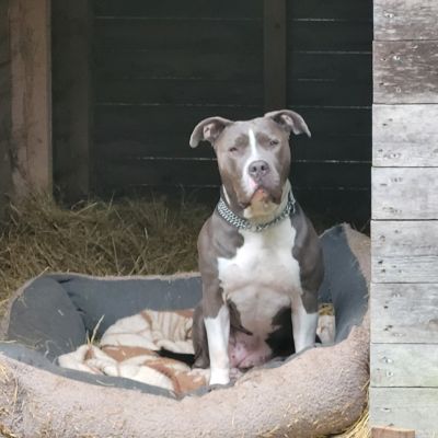 LOTTA -PATEN GESUCHT-  LOTTA -PATEN GESUCHT-