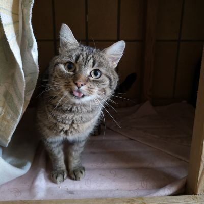  SAM