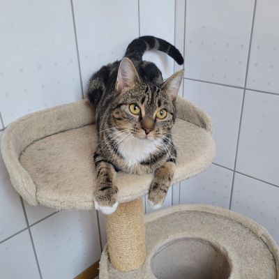 JELENA - RESERVIERT JELENA - RESERVIERT