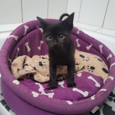 OLENA - RESERVIERT OLENA - RESERVIERT