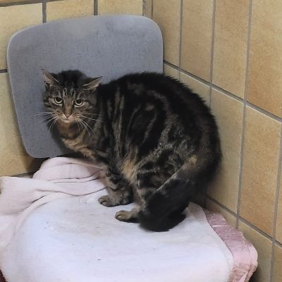 EMMI - RESERVIERT EMMI - RESERVIERT