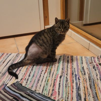 SCHRÖDER -RESERVIERT- SCHRÖDER -RESERVIERT-