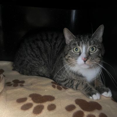  DIEGO - RESERVIERT-