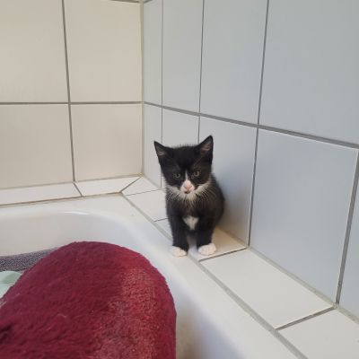  BRUCE -RESERVIERT-