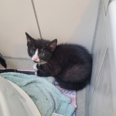  BRIAN -RESERVIERT-