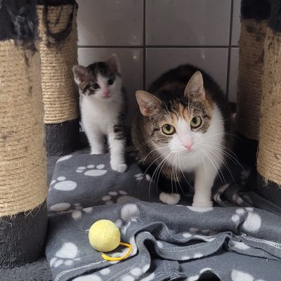  CASSY UND BOB   -RESERVIERT-