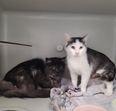  MORITZ UND MAJA