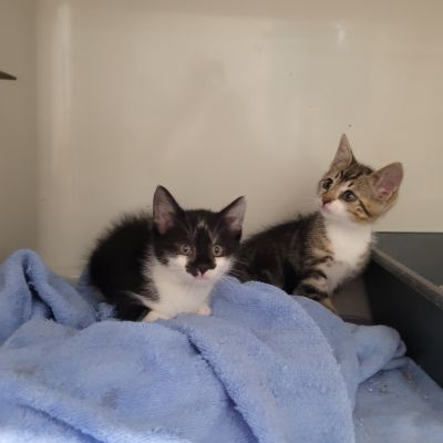 LEOPOLD UND LAURENZ -RESERVIERT- LEOPOLD UND LAURENZ -RESERVIERT-