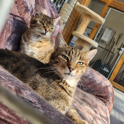 JIM BOB UND JASON - PATEN GESUCHT JIM BOB UND JASON - PATEN GESUCHT