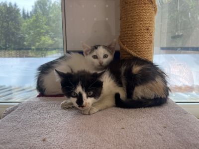 ZOE UND ZARA ZOE UND ZARA